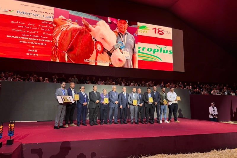 وزير الفلاحة يوزع جوائز مسابقات أفضل سلالات الماشية في الدورة 18 للملتقى الدولي بمكناس