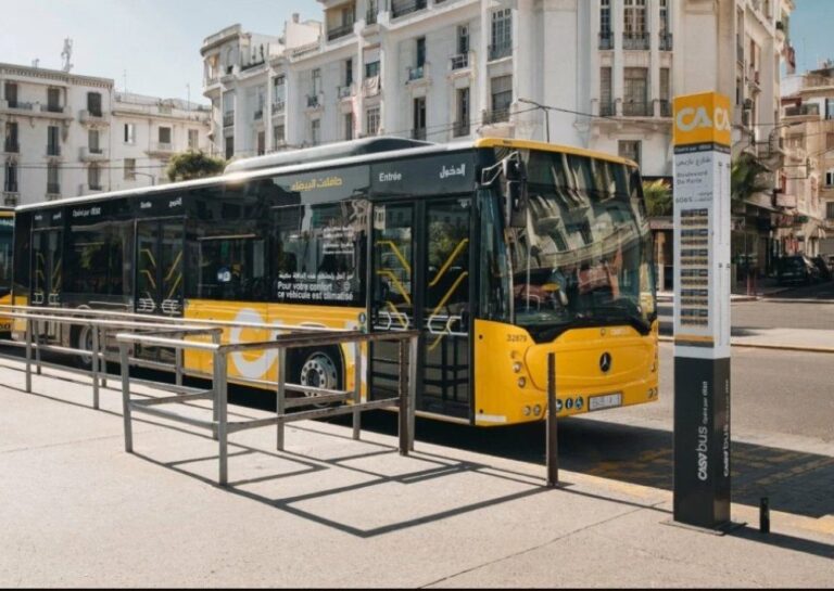 صورة المقالة