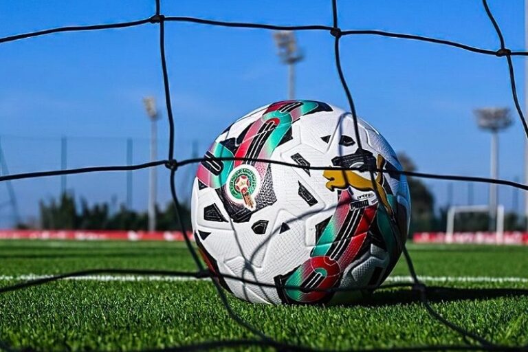 صورة المقالة