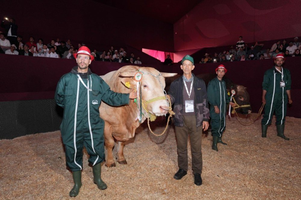 وزير الفلاحة يترأس حفل توزيع جوائز أفضل الحيوانات المرباة في معرض مكناس 2026