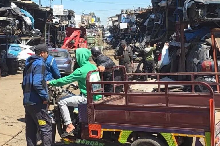 صورة المقالة