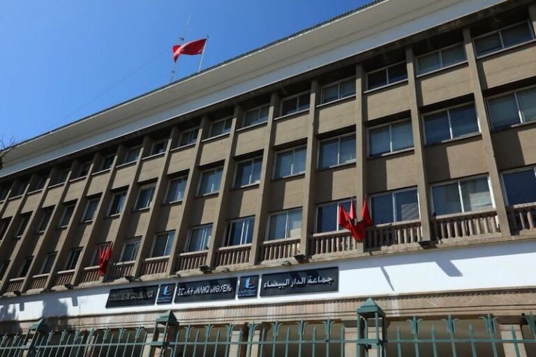 صورة المقالة