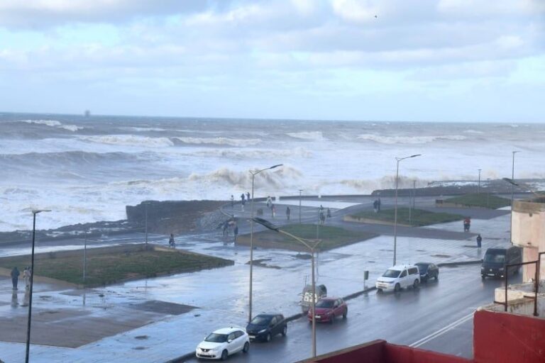 صورة المقالة