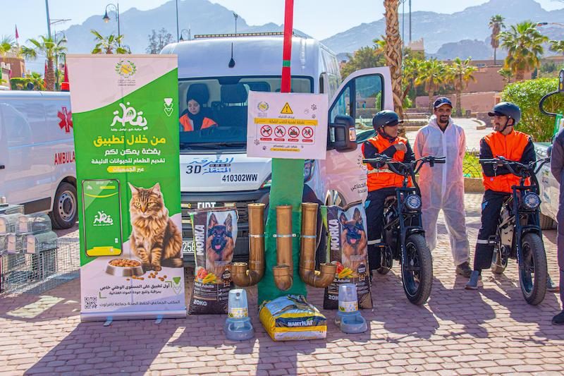 صورة المقالة