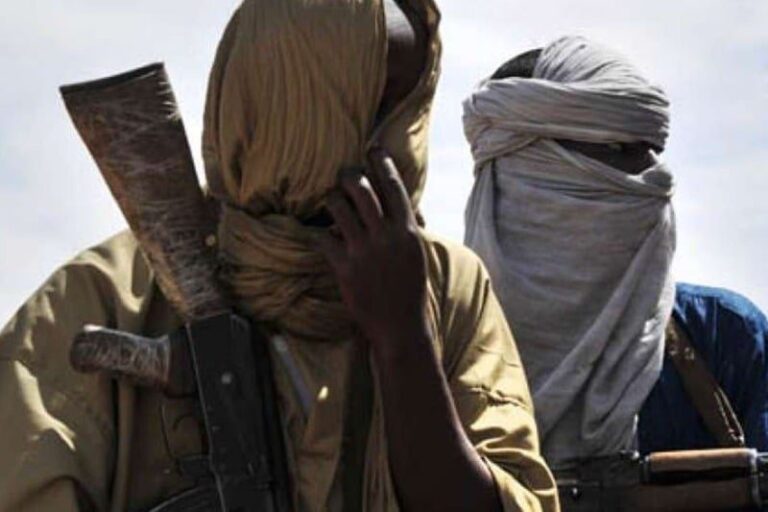 صورة المقالة