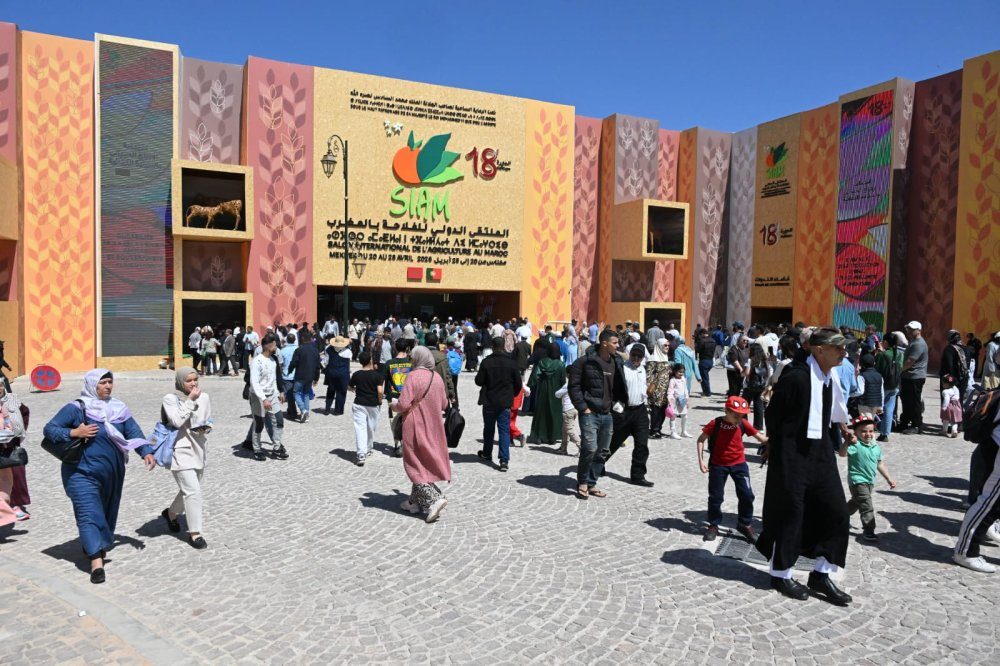 صورة المقالة