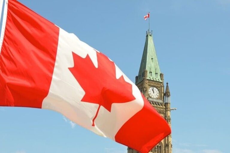 صورة المقالة