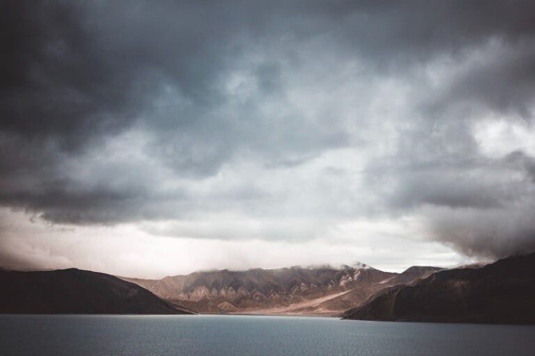 صورة المقالة