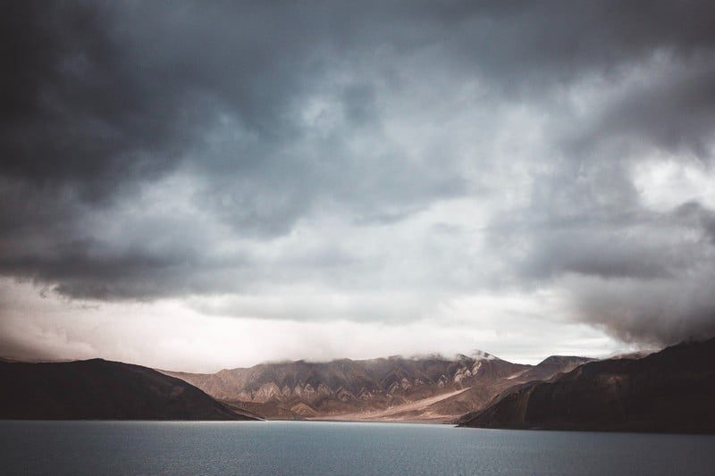 صورة المقالة