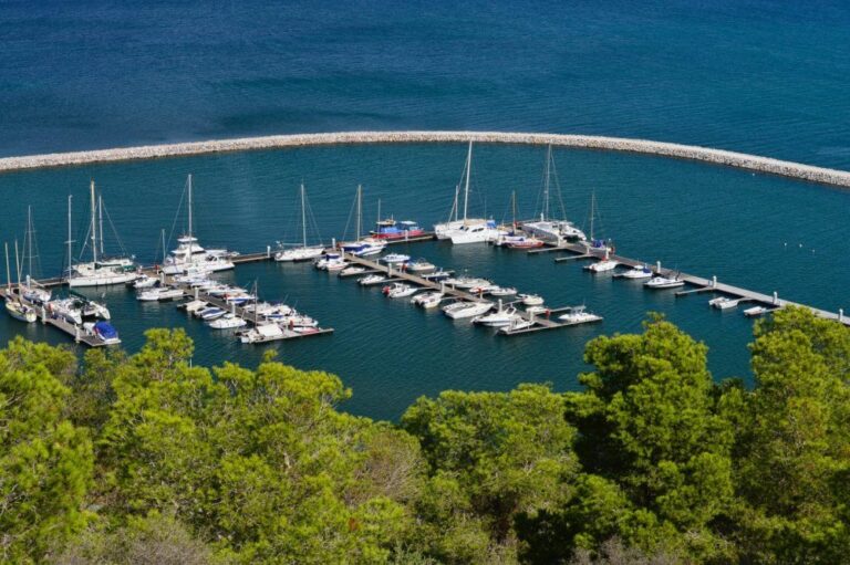 صورة المقالة