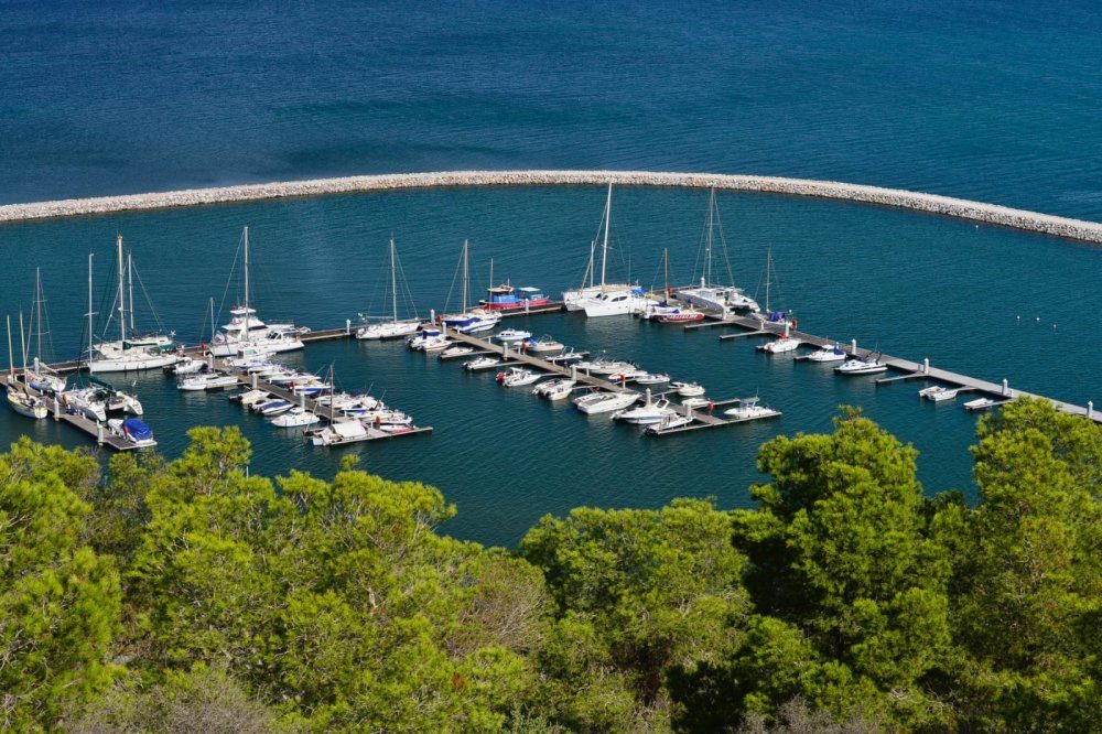 صورة المقالة