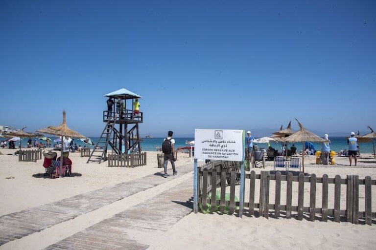 صورة المقالة