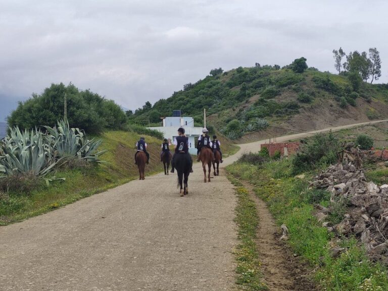 صورة المقالة