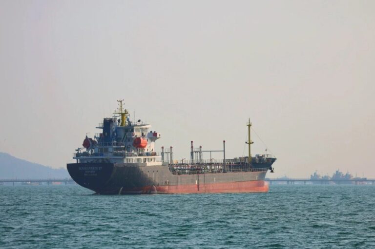 صورة المقالة