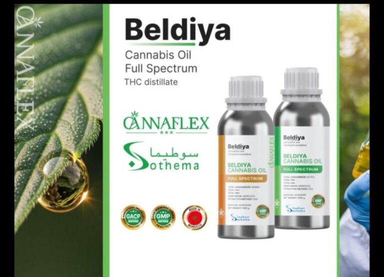 صورة المقالة