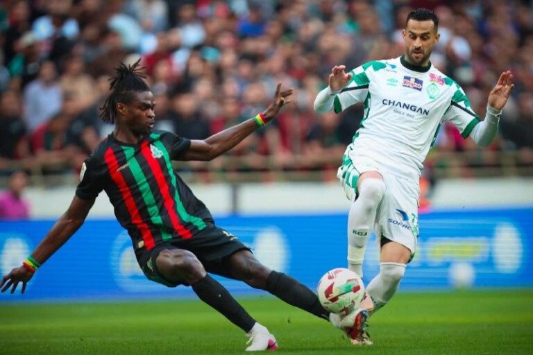 صورة المقالة