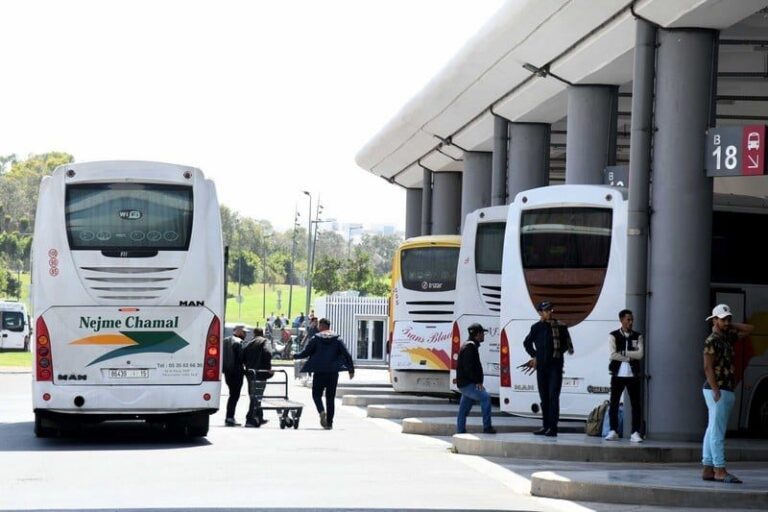 صورة المقالة