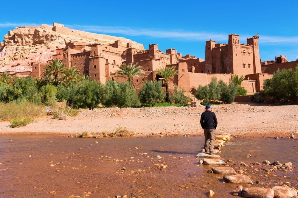 صورة المقالة