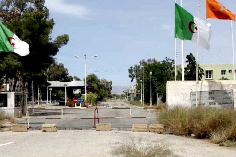 صورة المقالة