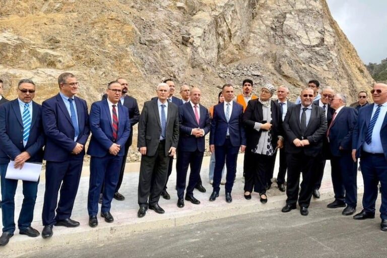 صورة المقالة