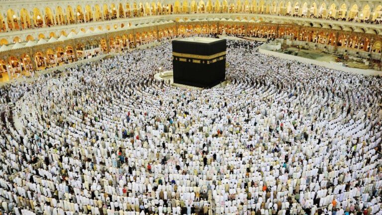 صورة المقالة