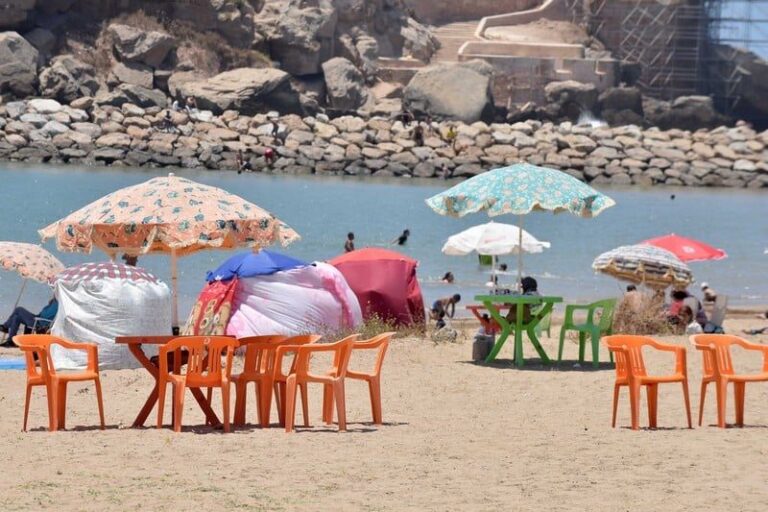 صورة المقالة