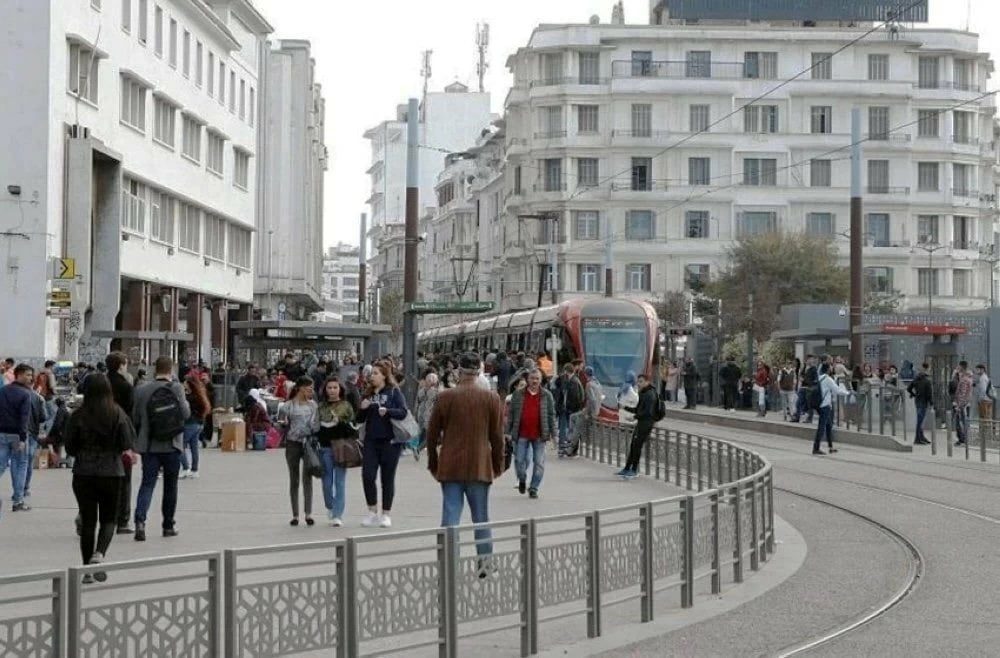 صورة المقالة