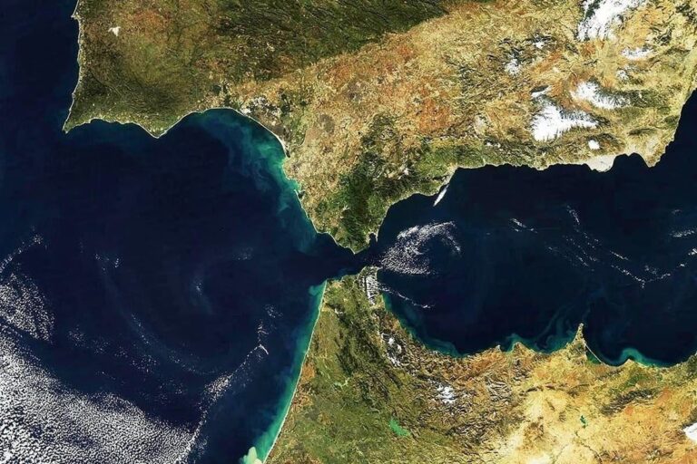 صورة المقالة