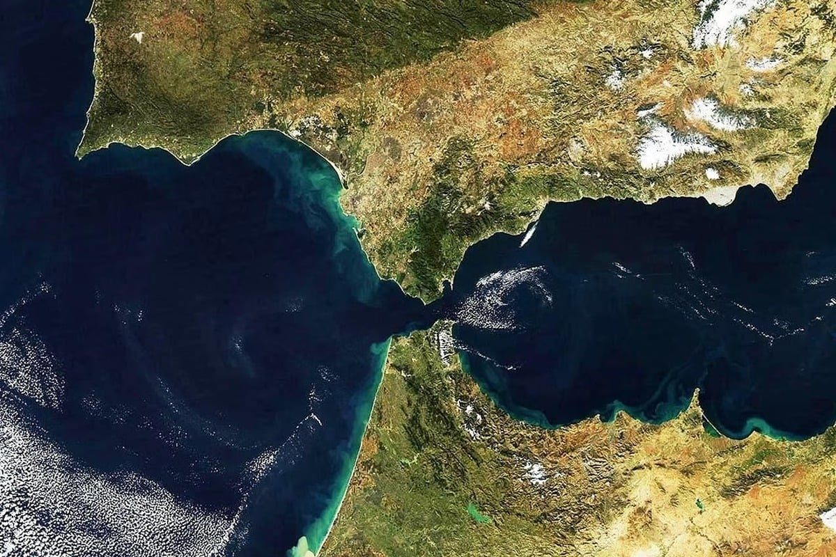 صورة المقالة