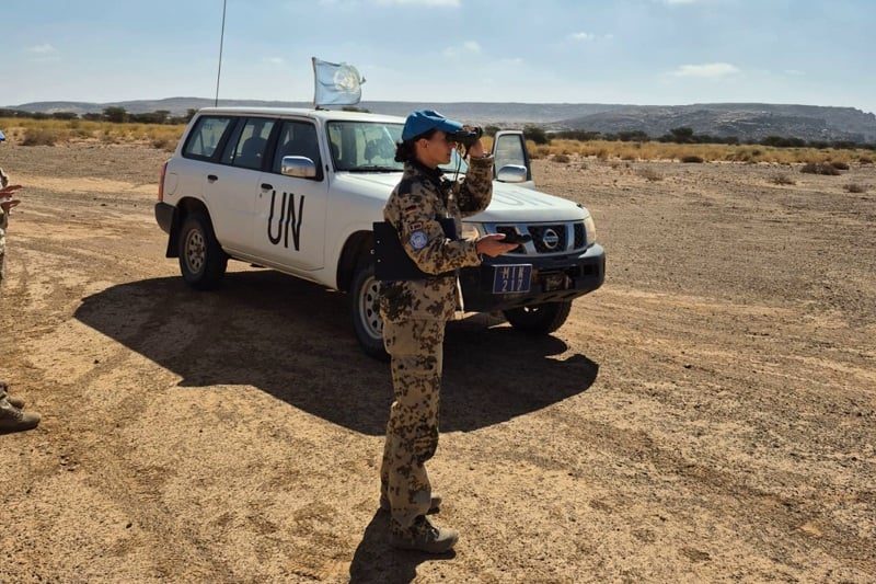 صورة المقالة