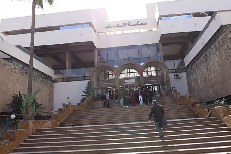 صورة المقالة