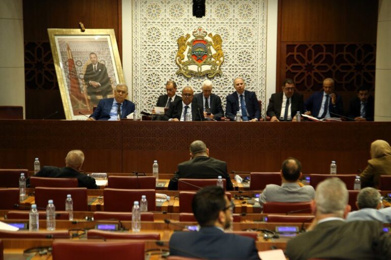 صورة المقالة