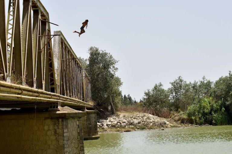 صورة المقالة