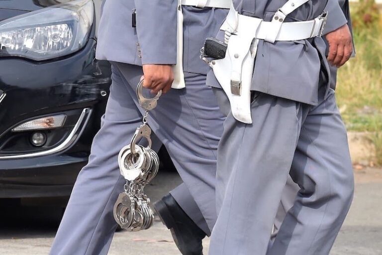 صورة المقالة