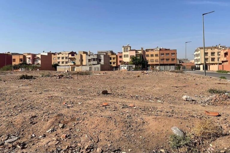 صورة المقالة