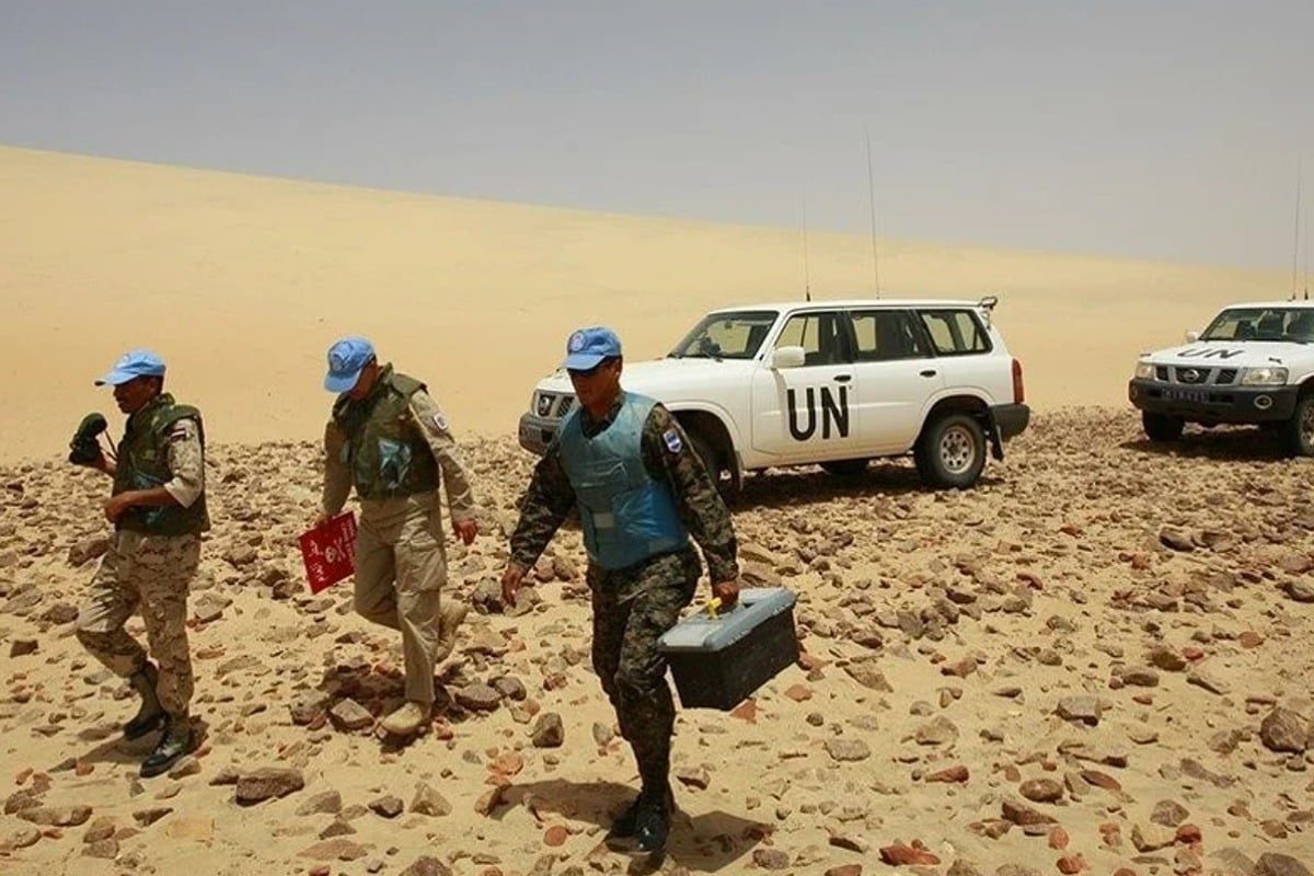 صورة المقالة