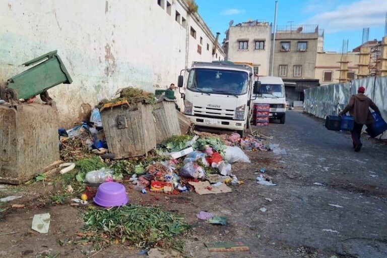 صورة المقالة