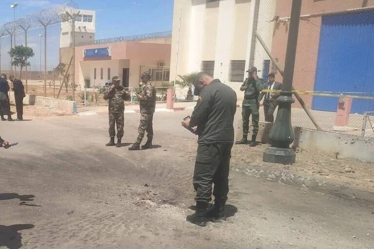 صورة المقالة