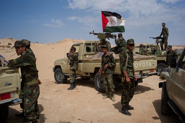صورة المقالة