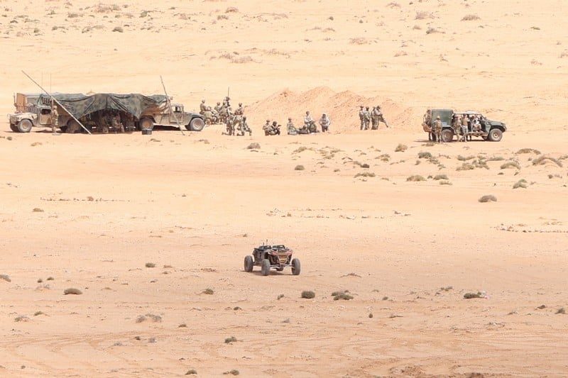 صورة المقالة