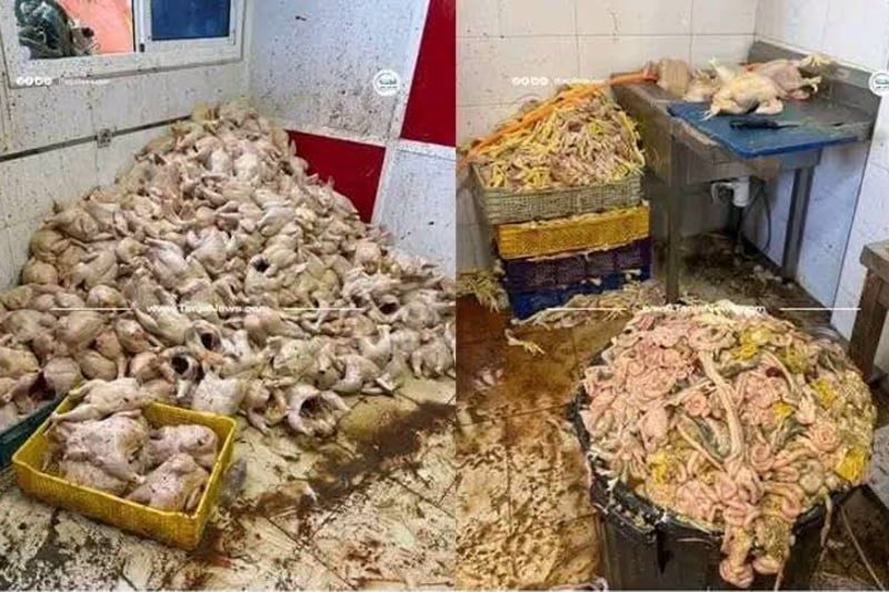 صورة المقالة