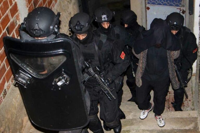 صورة المقالة