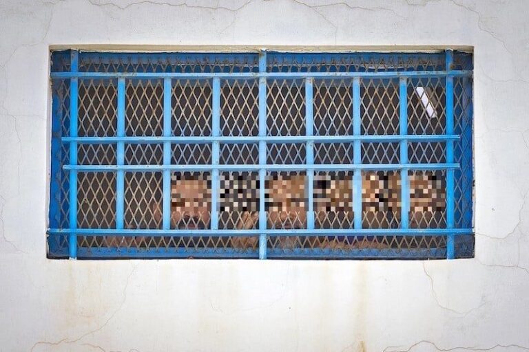 صورة المقالة