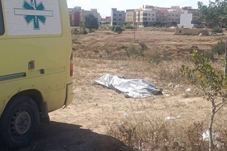 صورة المقالة