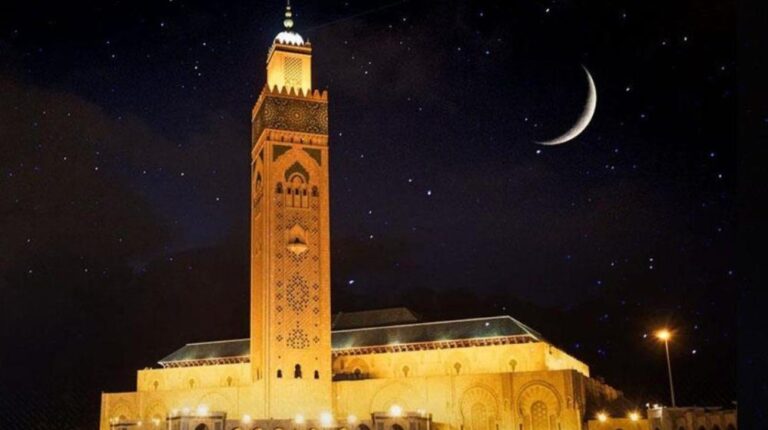صورة المقالة