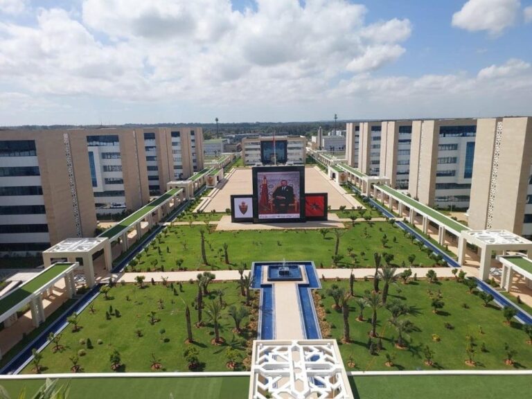 صورة المقالة