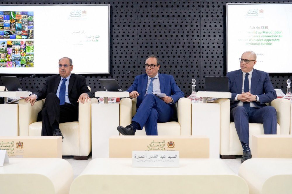 اختفاء 75% من الأصناف المحلية للقمح والشعير في المغرب خلال نصف قرن