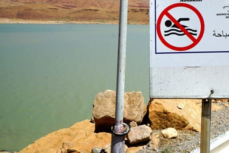 صورة المقالة