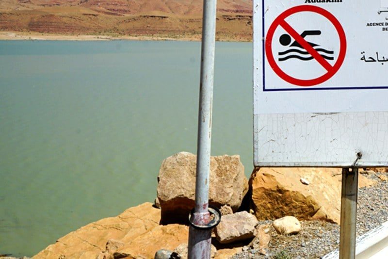 صورة المقالة