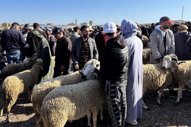 صورة المقالة